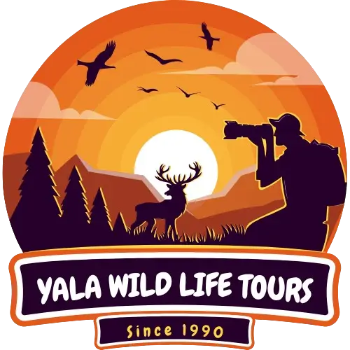 Yala Wild life Tours