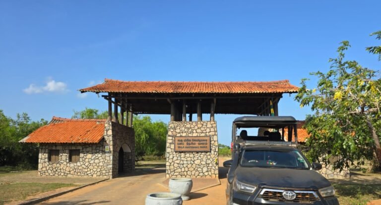 Jeep Of Yala Wild Life Tours